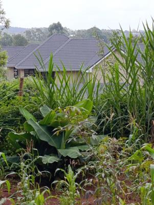 1/4 Acre Plot Kerarapon Drive South (near Vet)14.5, Kerarapon, Ongata Rongai, Kajiado, Land for Sale