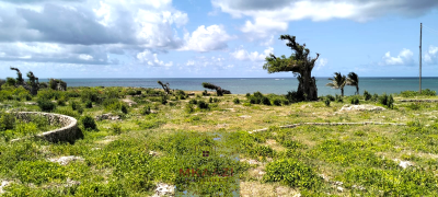 Exclusive Quarter Acres Beachfront Plots  in Mayungu, Malindi, Mayungu, Malindi Town, Kilifi, Land for Sale