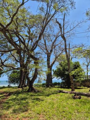 2 Acres Beachfront Property Which Previously for Bamburi Cement Plc Fo, Nyali Mombasa, Nyali, Mombasa, Mixed-use Land for Sale
