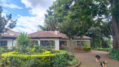 an Elegant 5 Bedrooms Plus 2dsq Stand Alone, Apple Cross, Lavington, Nairobi, Commercial Property for Rent