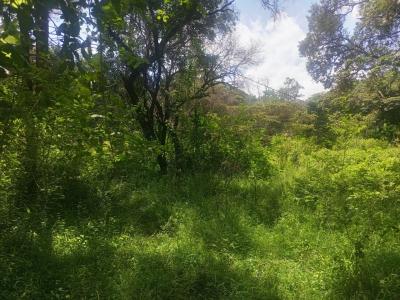 9 Acre Land in Karen, Karen, Nairobi, Mixed-use Land for Sale