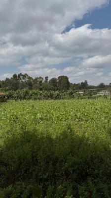 Half Acre Plots in Karen, Karen, Nairobi, Land for Sale