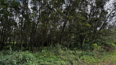 5 Acre Parcel in Karen, Karen, Nairobi, Land for Sale