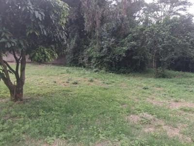 Half Acre Land in Karen, Karen, Nairobi, Land for Sale