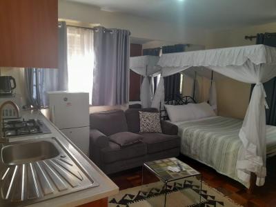 Fully Furnished and Serviced Studio Apartment Available, Kilimani, Nairobi, Apartment for Rent