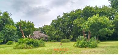 Prime Quarter-acre Investment Plots Next to Mwembe Resort, Ma, Mwembe Resort, Malindi Town, Kilifi, Land for Sale