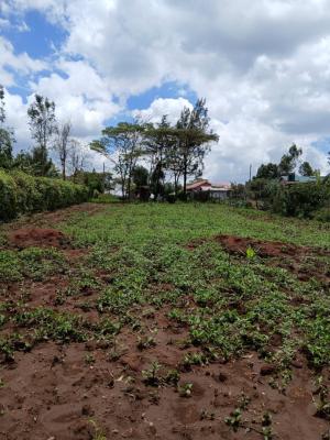 Prime a Quarter Acres Plot in Ngong, Baboon Cresent, Ngong, Kajiado, Residential Land for Sale