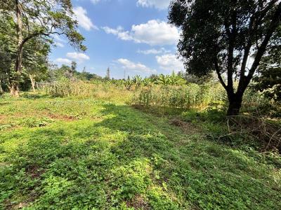Prime 2.5 Acres Land, Ridgeways, Runda, Westlands, Nairobi, Land for Sale
