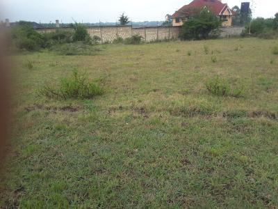 Very Beautiful 2 Acre Land, Mericho Rd, Ongata Rongai, Kajiado, Residential Land for Sale