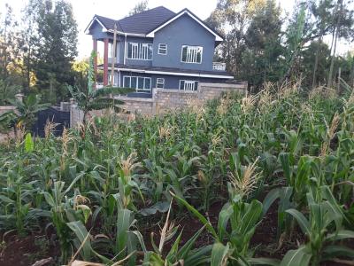 Lovely One Eighth Residential Plots, Ngong, Kajiado, Residential Land for Sale