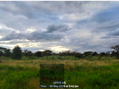 42-acres Freehold Land in Eselenkei, Kajiado South, Eselenkei, Mbirikani/eselenkei, Kajiado, Land for Sale