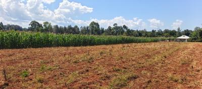4.5 Acre Land  in Kitale, Kitale, Kitale, Trans Nzoia, Mixed-use Land for Sale