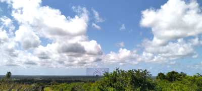 Exclusive 13-acres   Near Arabuko Forest, Kakuyuni Malindi, Kakuyuni, Malindi Town, Kilifi, Land for Sale