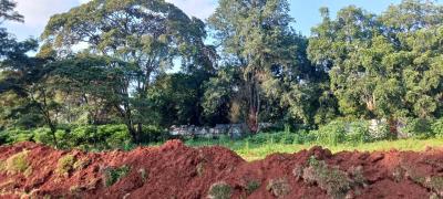 Half Acre Plots in Karen, Karen, Nairobi, Land for Sale