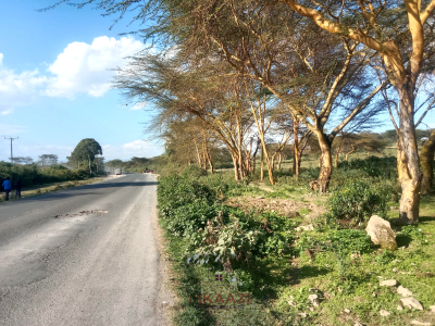 Prime 25-acres Highway Frontage Land in Naivasha, Moi South Rd, Moi South Rd, Naivasha East, Nakuru, Land for Sale
