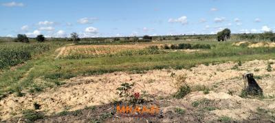 Exceptional 103-acre Freehold Parcel in Dakacha, Malindi, Dakacha, Malindi Town, Kilifi, Mixed-use Land for Sale