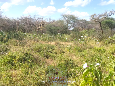 Prime 20-acre Agricultural Land in Emotoroki, Kajiado, Emotoroki, Kenyawa-poka, Kajiado, Land for Sale
