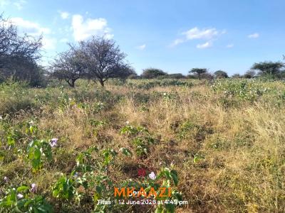 Prime 7-acre Freehold Agricultural Land in Megumi, Kajiado, Megumi Ololepo, Kaputiei North, Kajiado, Land for Sale