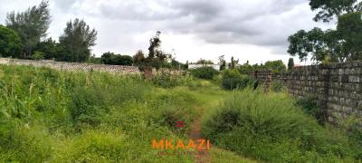 Prime 40×80 Plot, Cycad Road, Malindi Town, Kilifi, Land for Sale