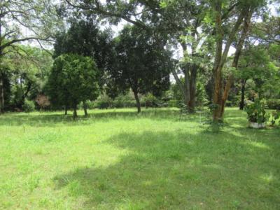 1.3 Acres of Land, Koitobos Rd, Karen, Nairobi, Residential Land for Sale