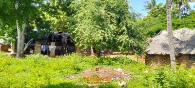 Prime Half-acre Freehold Plot Near Mida Creek, Watamu, Turtle Bay Road, Watamu, Kilifi, Land for Sale
