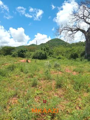 550 Acres of Prime Freehold Agricultural Land Fronting Athi River --