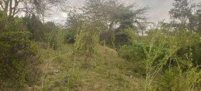16 Acres for Sale -- Likii, Nanyuki