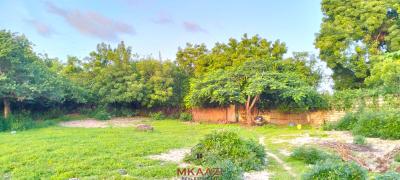Prime 1.15-Acre Road Frontage Property on Casuarina Road, Malindi