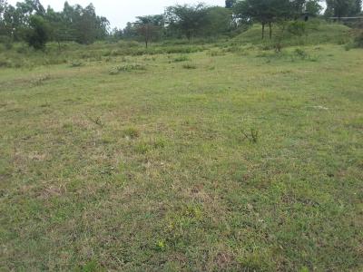 Prime 2 Acre Residential Development Land