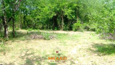 500 Acres of Prime Virgin Land Fronting the Tana River in Tharaka
