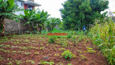 Prime Commercial for Sale
