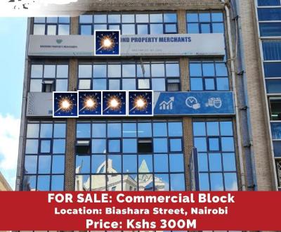 Business Plaza on Bishara Street Overlooking Kimathi Street and Next T