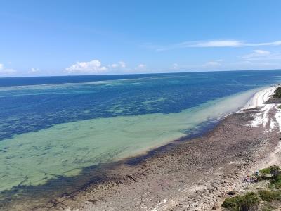 Beach Front 3 Bedroom Apartment with a DSQ & Swimming Pool