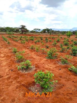 Prime 17-Acre Farm in Mata, Taveta -- Dam & Established Mugoka Crop