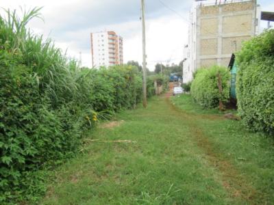 1/4-Acre Prime Plots