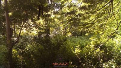Prime ¼ Acre Plot in Garoda, Watamu