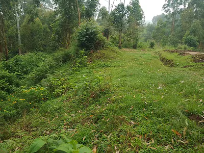 Prime Land Touching the River
