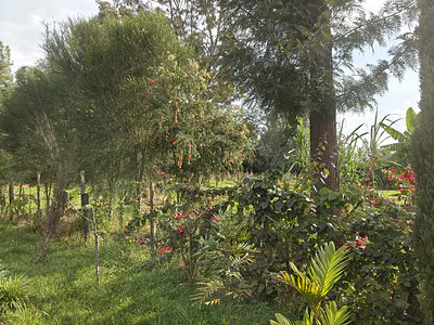Prime ½ Acre Land for Sale -- Garden Estate