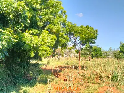 Prime 2.5-Acre Road Frontage Land in Baolala - Malindi