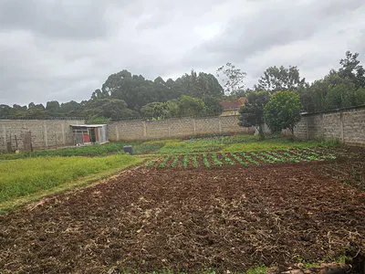 0.5acre Land for Sale in Karen