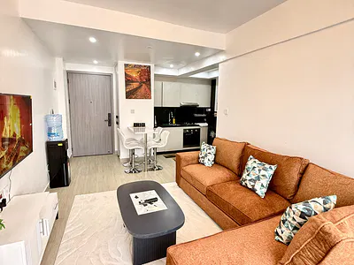 Fully Furnished and Serviced 1 Bedroom Apartment