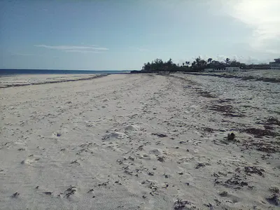 50-Acre Prime Beach Plot