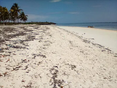 20-Acre Beach Plot