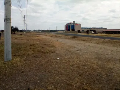 25 Acres of Land