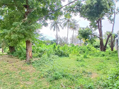 Invest with Confidence in This Approximately 1 Acre Land
