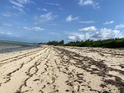 Prime 1 Acre Beach Front