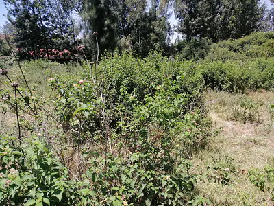 10000 Acre Land in Athi River
