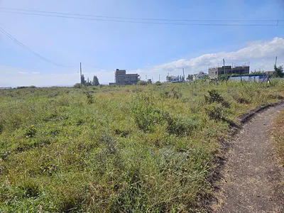 30 by 100 Plot of Land in Katani (Syokimau)