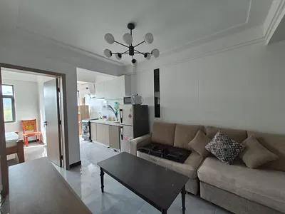 Luxurious 1.5 Bedrooms Apartment in Kilimani