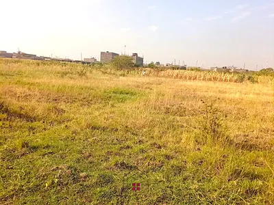 Prime 5-Acre Industrial Land